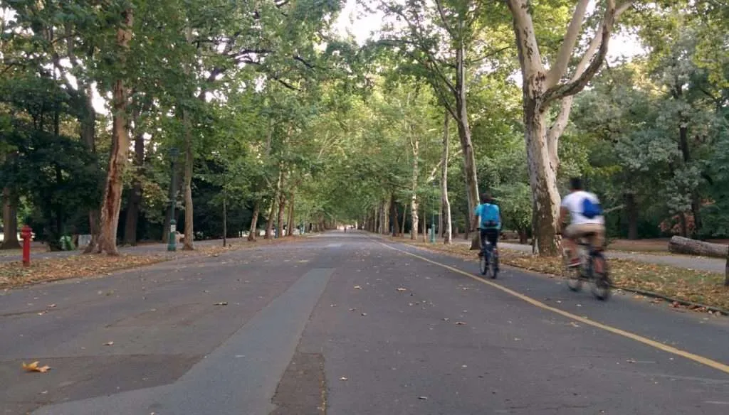 Hungary Szeged bicyclists