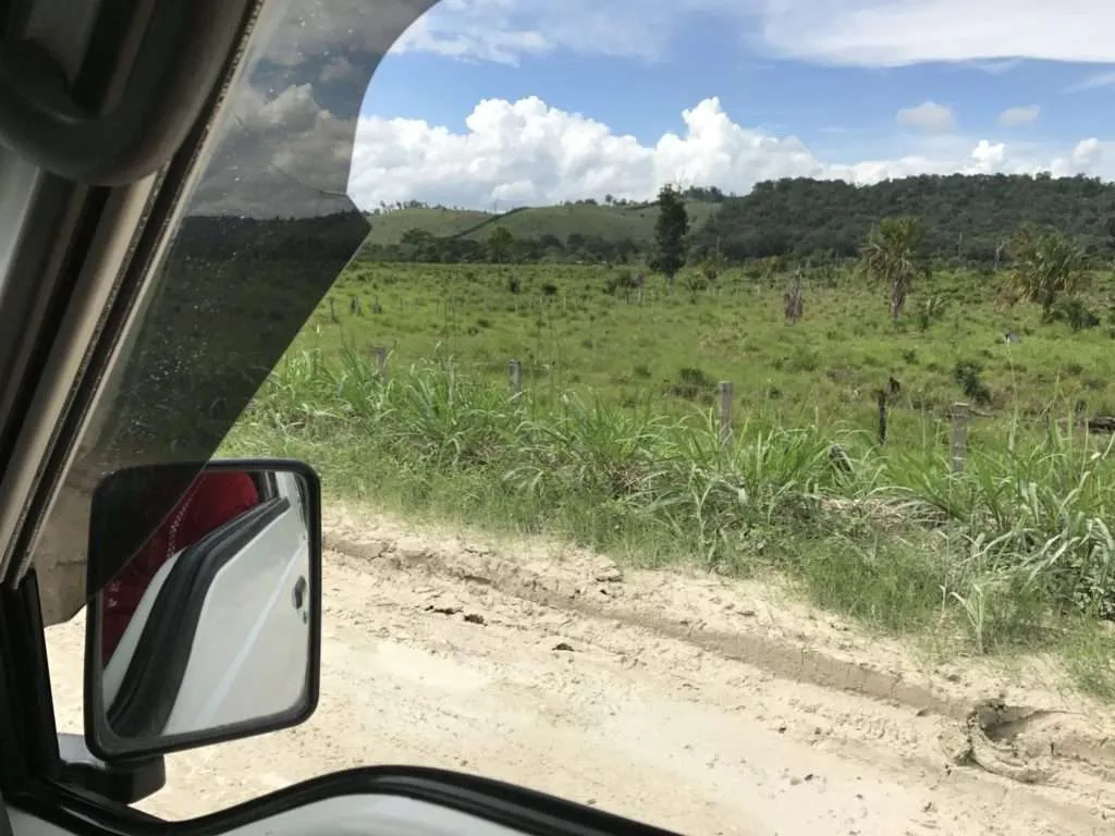 The nature over the minibus window driving in Guatemala after we passed the border with Belize