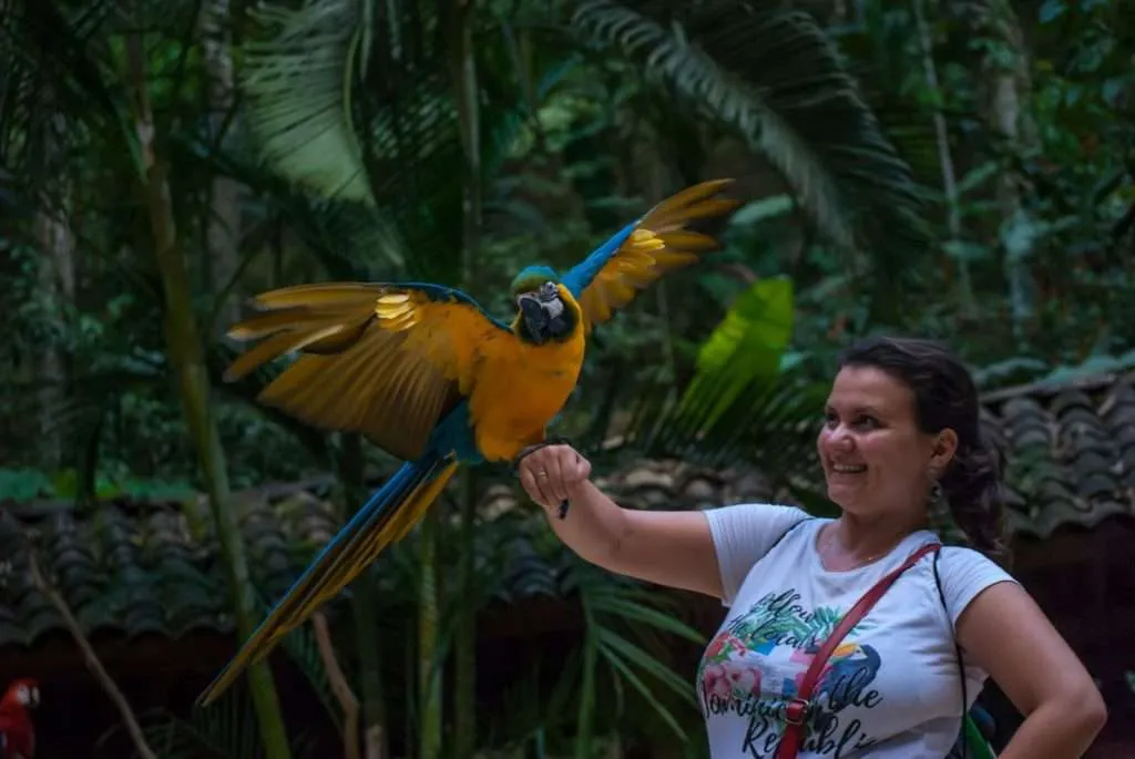 Bistra is holding a colorful macaw in Macaw Mountain near Copan Ruins in Honduras