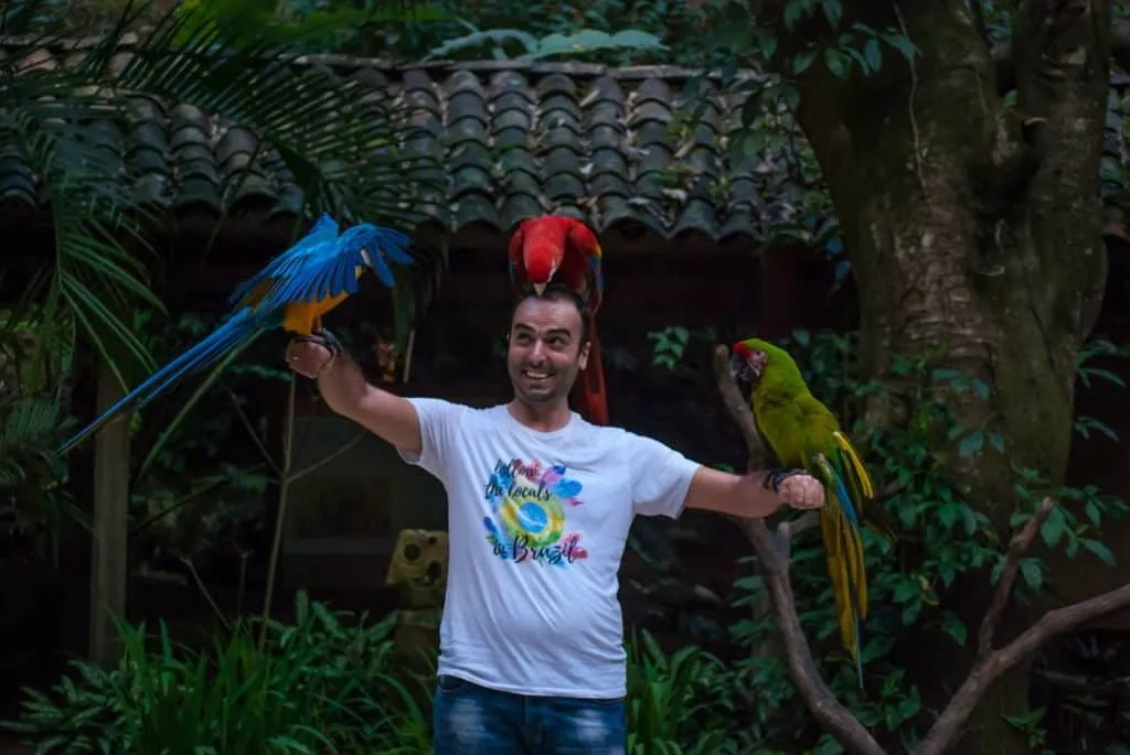 Nace is holding few colorful macaws in Macaw Mountain near Copan Ruins in Honduras