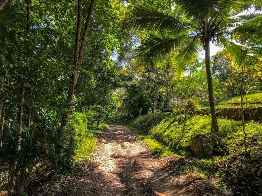 Horseback riding around the Copan Ruins in Honduras
