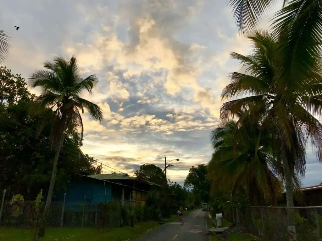 Sunset over the palm trees in Bocas del Toro, Panama