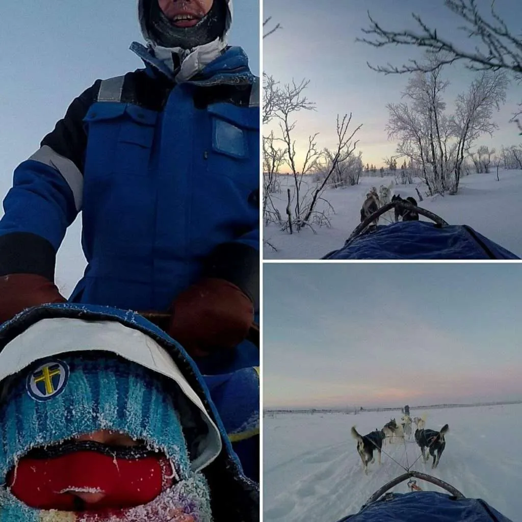 Ride a dog sled, Kiruna, Sweden