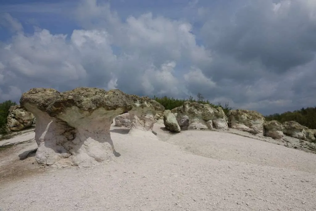 Skalnite gybi, Bulgaria, Скалните гъби