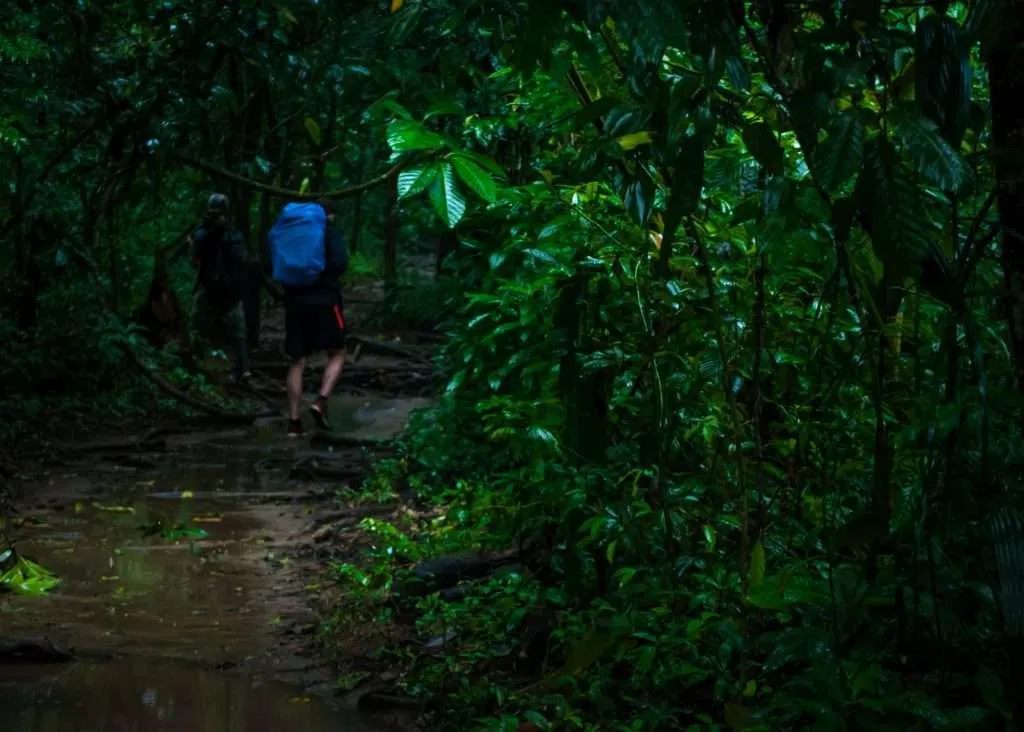 It is rainy in the Corcovado National Park in Costa Rica