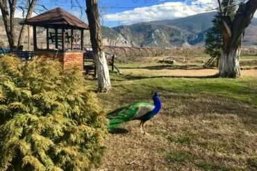 A Tikves region tour in the world of Macedonian wine