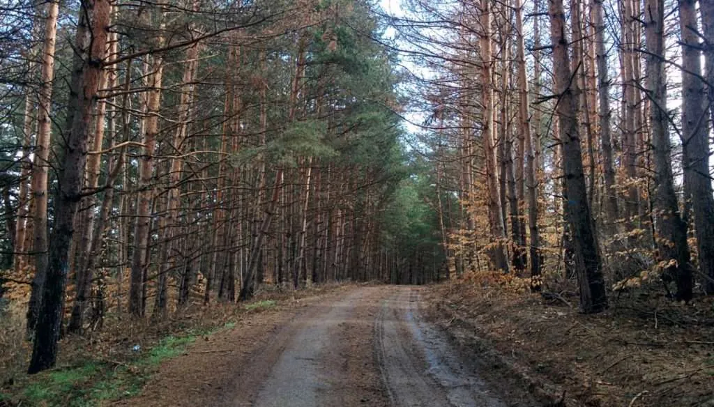 hiking on a trail on Vitosha mountain in Bulgaria
