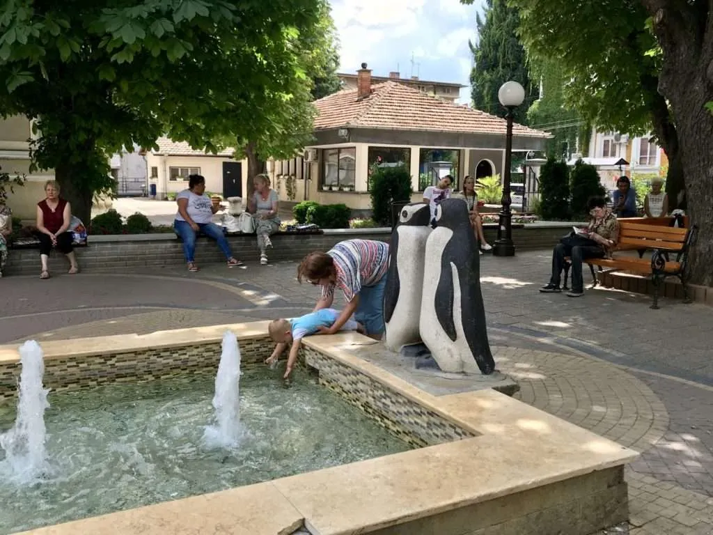 Пингвините на Стара Загора