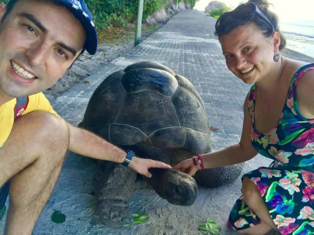 Best Seychelles beaches: La Digue, giant tortoise Anse Banane beach