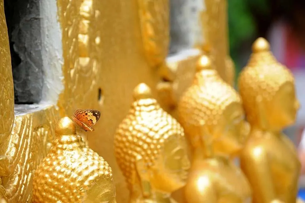 Nature and religion intertwine at the Old Abbot's cave temple in rural Thailand