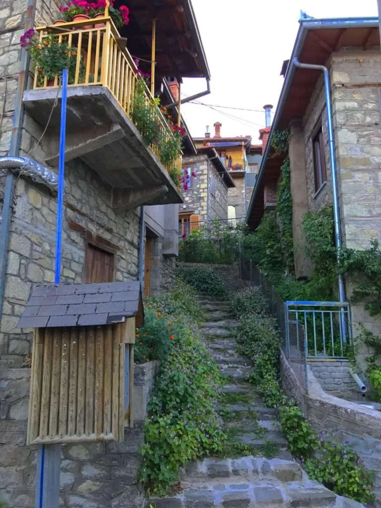 Old houses in Metsovo, Greece