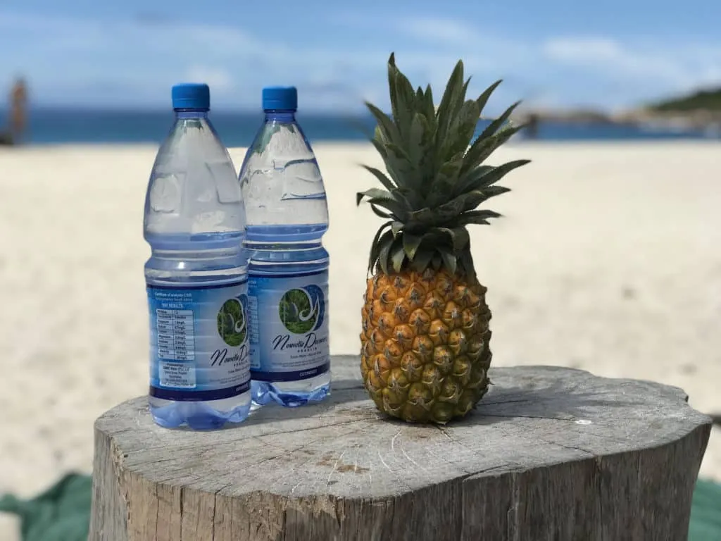Ананас на плажа, остров La Digue на Сейщелите