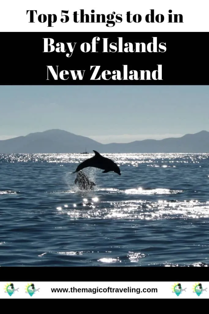 Top 5 things to do in Bay of Islands, New Zealand