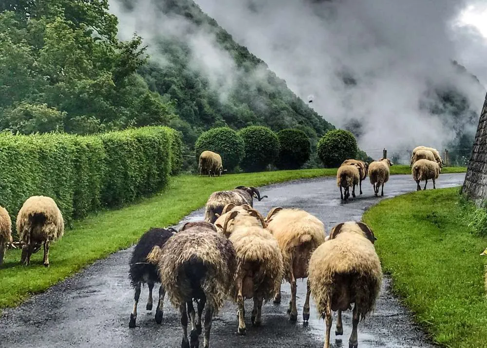 Epic Road Rides - a cycle trip in French Pyrenees; how to plan a trip