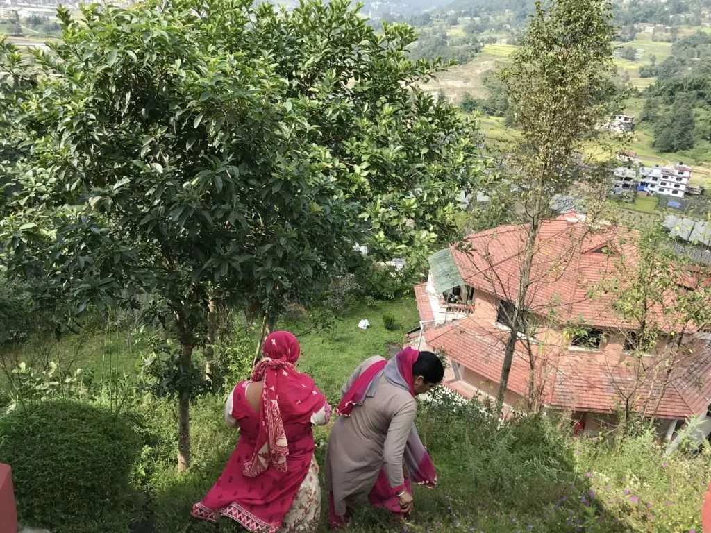 A month of yoga in Nepal - where locals and yogis meet