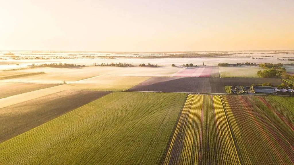 Visiting The Dutch Countryside How todeal with post-travel blues