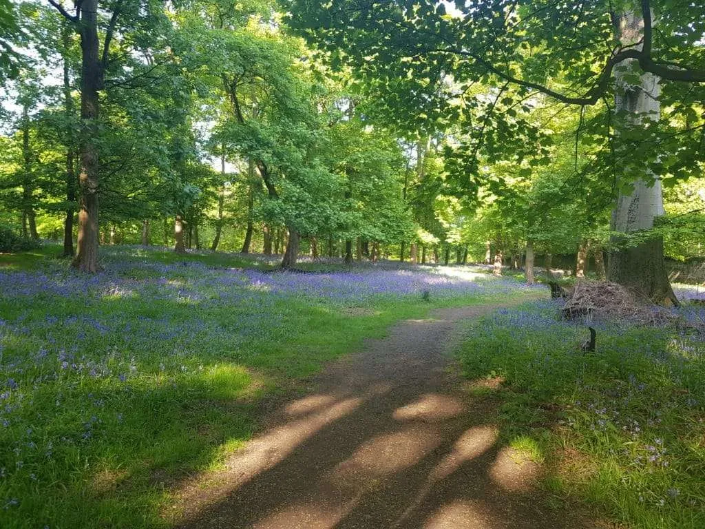 Nature responsible travel - stick to boardwalks and paths