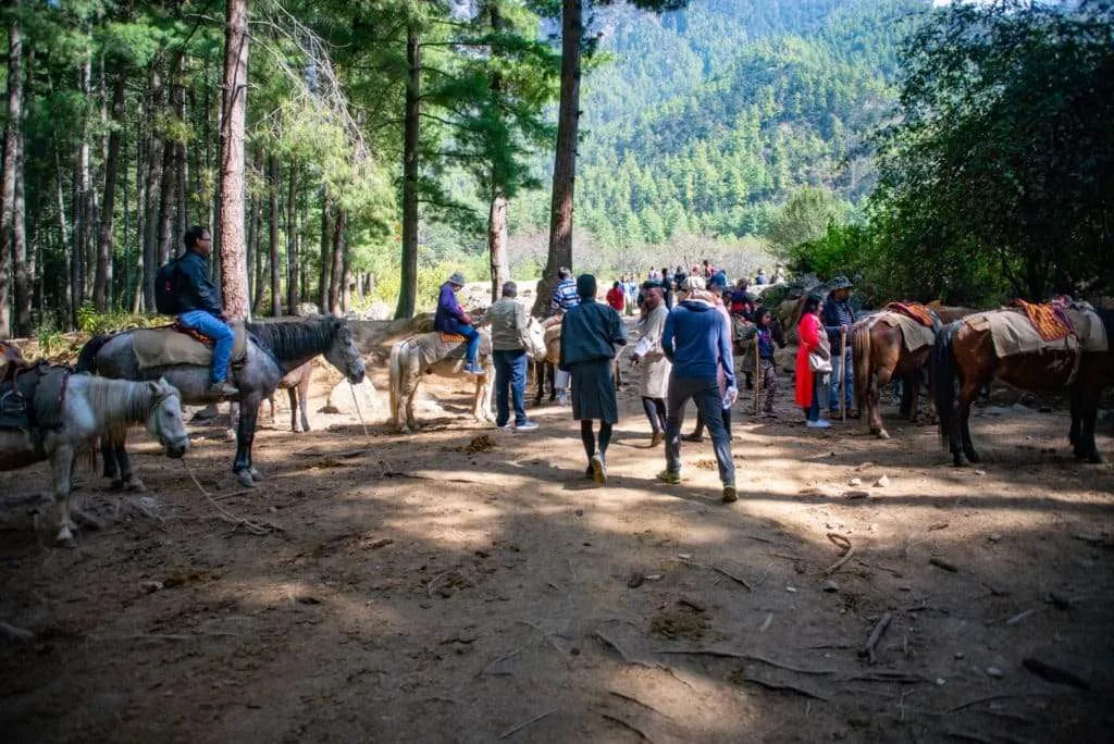 Bhutan, start of hike to Tiger's Nest