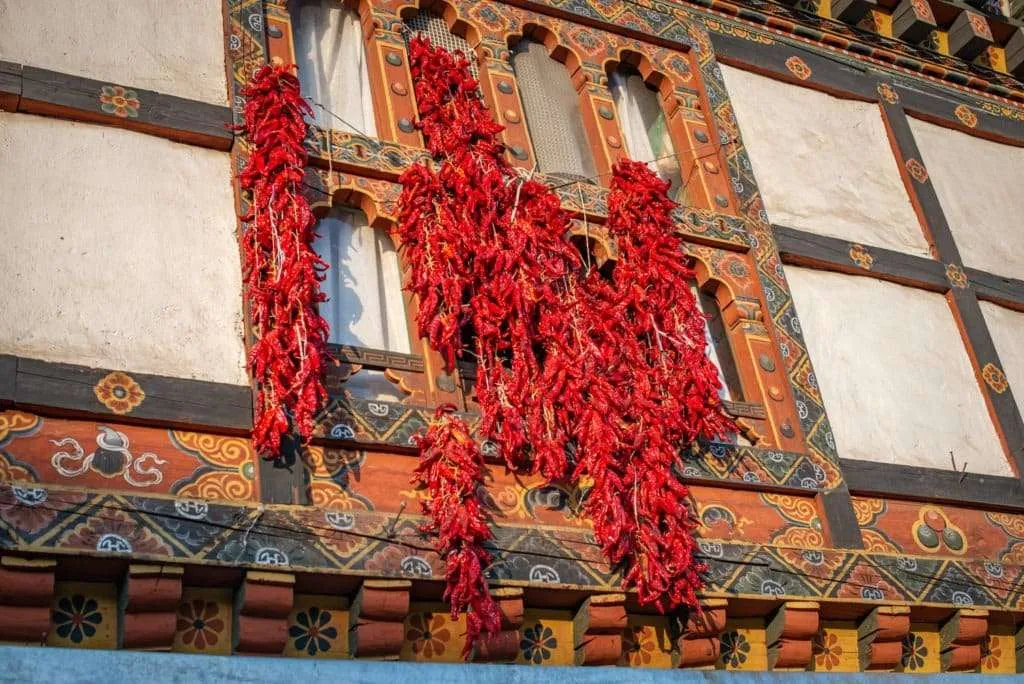 Bhutan - people, country, culture, hanging peppers to dry in Paro