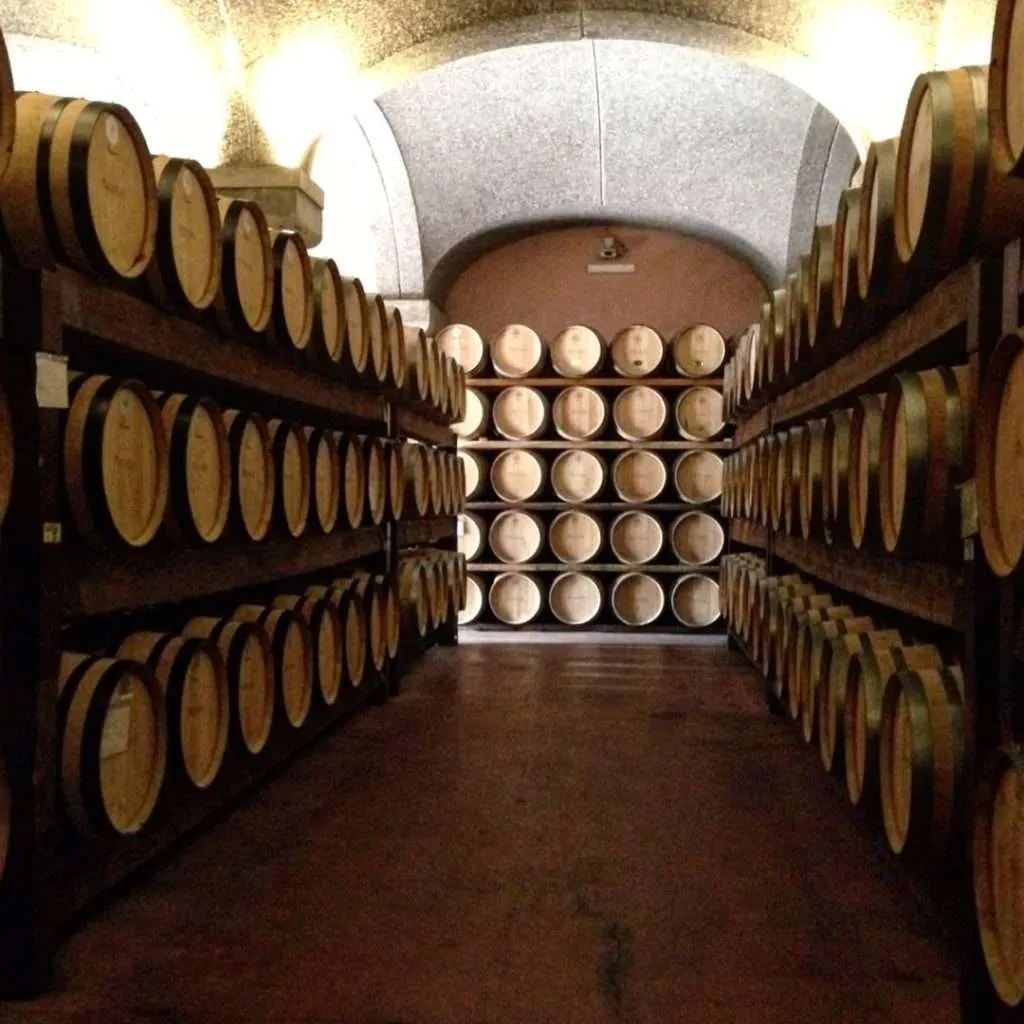 Wine tourism: best countries to taste wine: winery in Sardinia, Italy