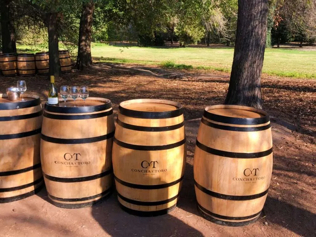 Wine tourism: best countries to taste wine: Chile wine tour Concha y Toro
