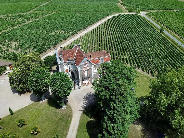 Wine tourism: best countries to taste wine: Chateau Cantenac, Saint Emilion, Bordeaux, France