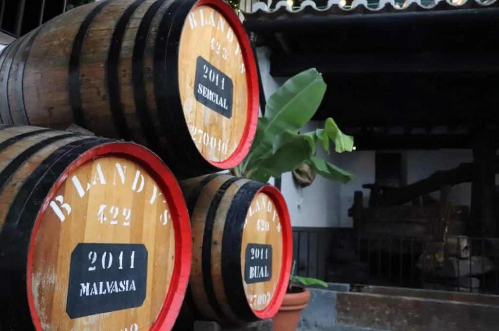 Wine tourism: best countries to taste wine: wine barrels in Madeira