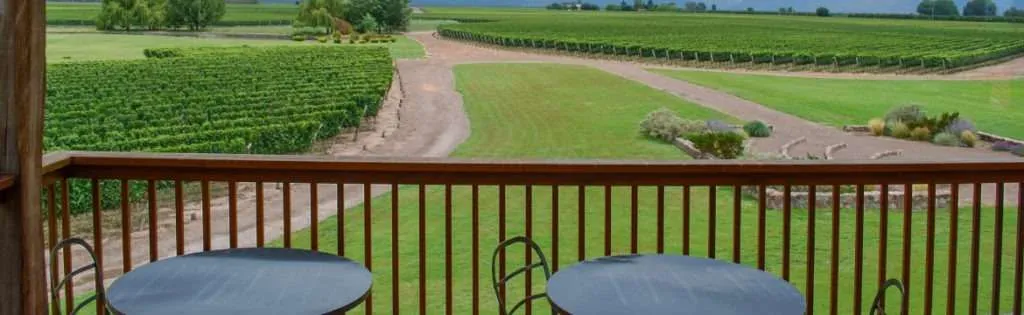 Wine tourism: best countries to taste wine