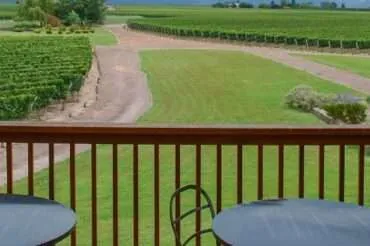 Wine tourism: The best countries to taste wine