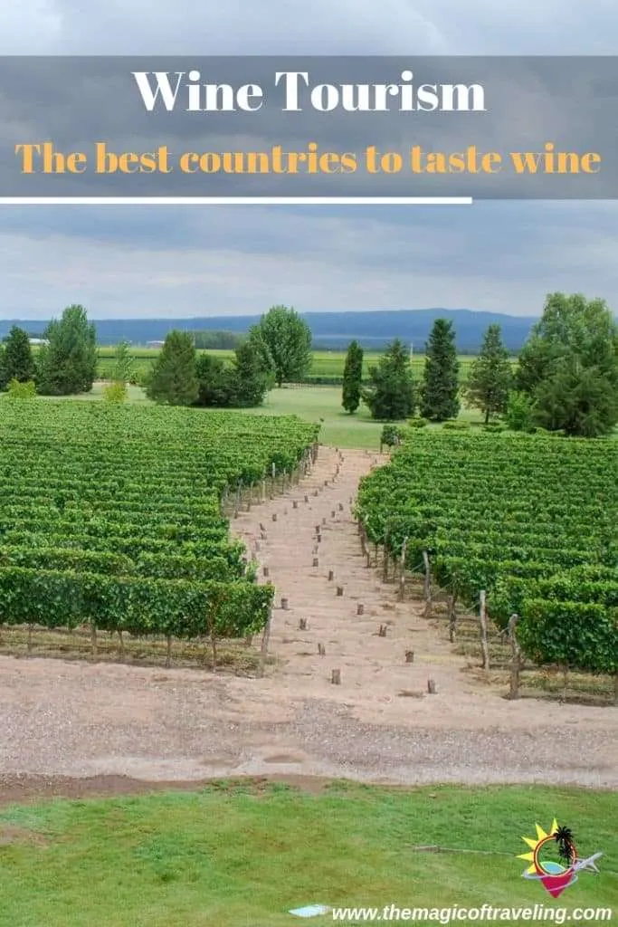 Wine tourism: best countries to taste wine