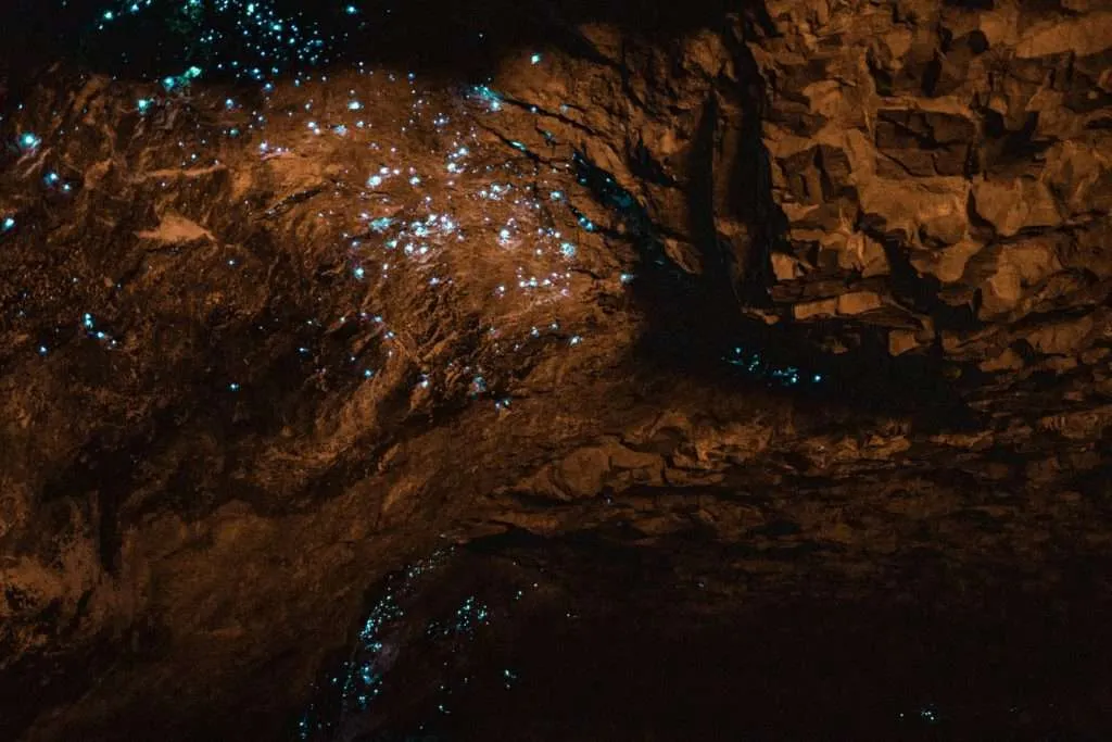 glowworm caves Australia