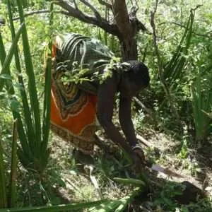 Tribes in Tanzania, Hadzabe tribe, Datoga tribe, local communities in lake Eyasi