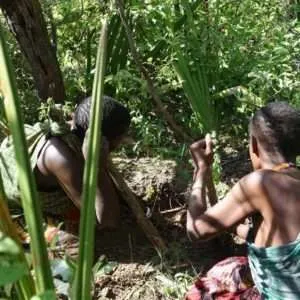 Tribes in Tanzania, Hadzabe tribe, Datoga tribe, local communities in lake Eyasi