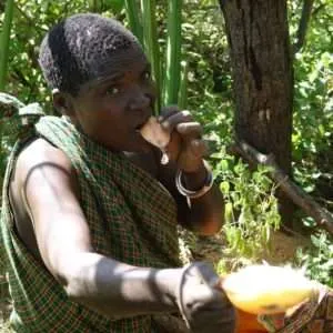 Tribes in Tanzania, Hadzabe tribe, Datoga tribe, local communities in lake Eyasi