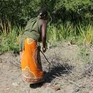 Tribes in Tanzania, Hadzabe tribe, Datoga tribe, local communities in lake Eyasi