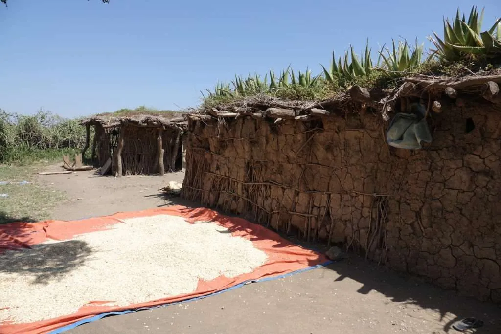 Tribes in Tanzania, Hadzabe tribe, Datoga tribe, local communities in lake Eyasi
