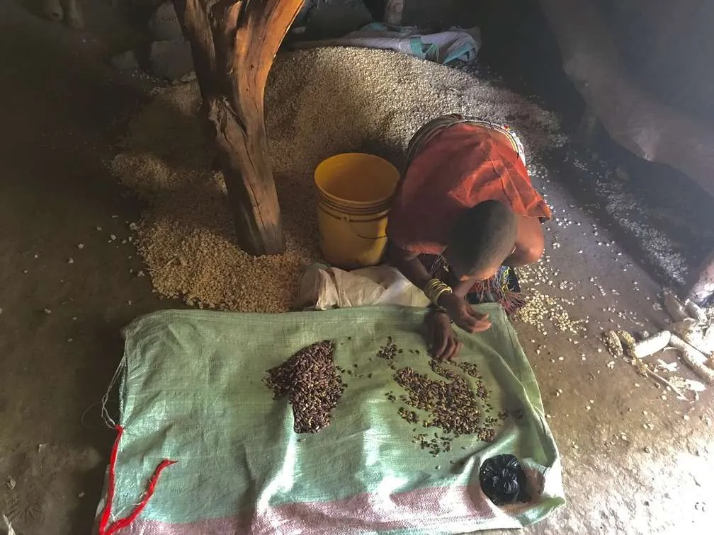 Tribes in Tanzania, Hadzabe tribe, Datoga tribe, local communities in lake Eyasi