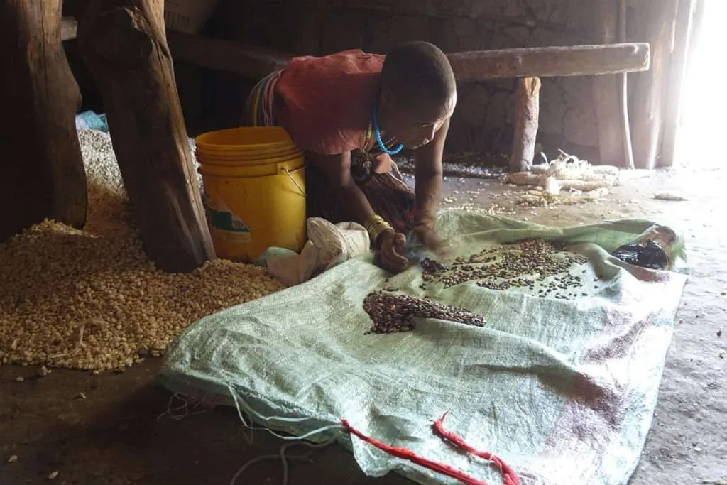 Tribes in Tanzania, Hadzabe tribe, Datoga tribe, local communities in lake Eyasi