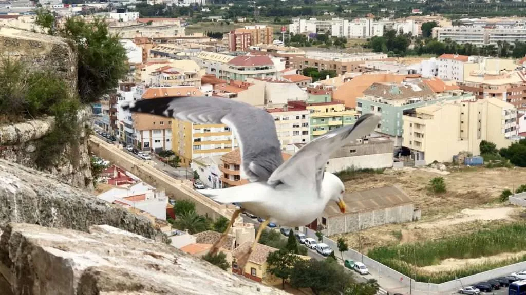Road trip in Andalusia, travel in Southern Spain - itinerary, places to visit and places to stay in Denia