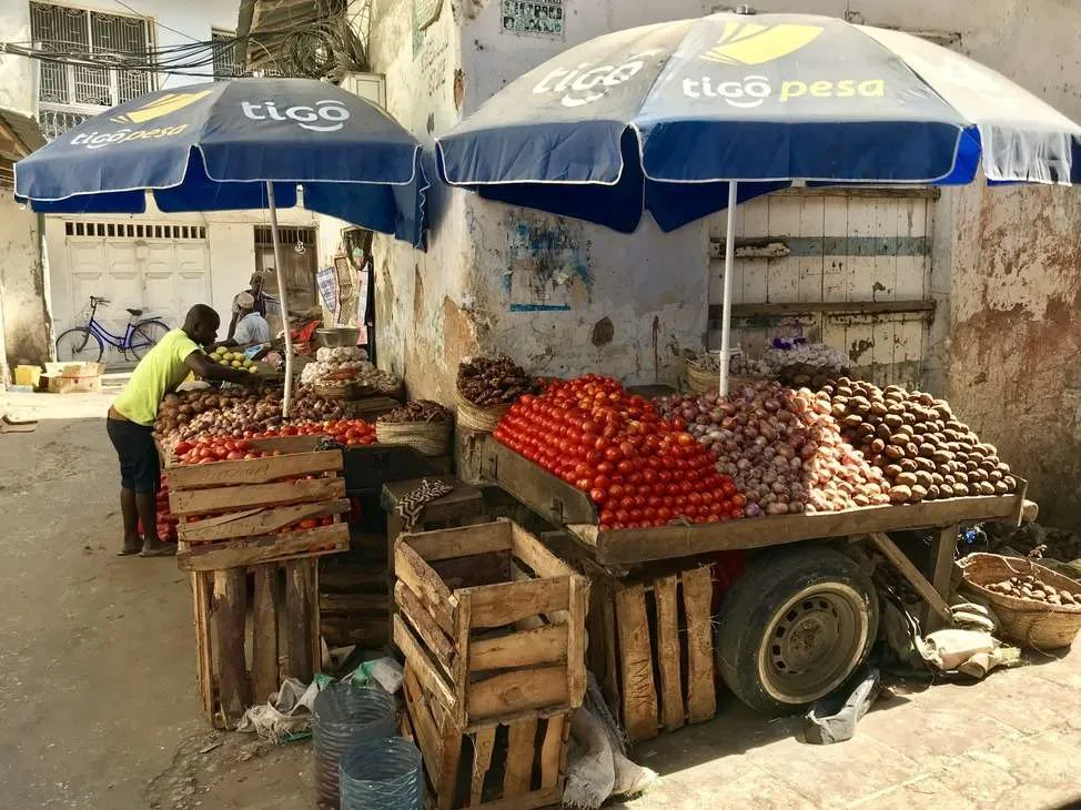 10-day Tanzania and Zanzibar itinerary - Stone town