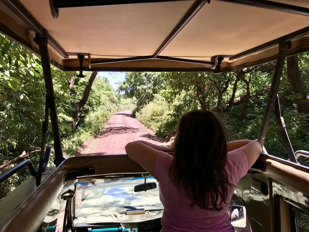 10-day Tanzania and Zanzibar itinerary - Lake Manyara National Park and Reserve