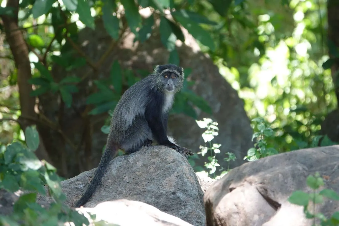 10-day Tanzania and Zanzibar itinerary - Lake Manyara National Park and Reserve