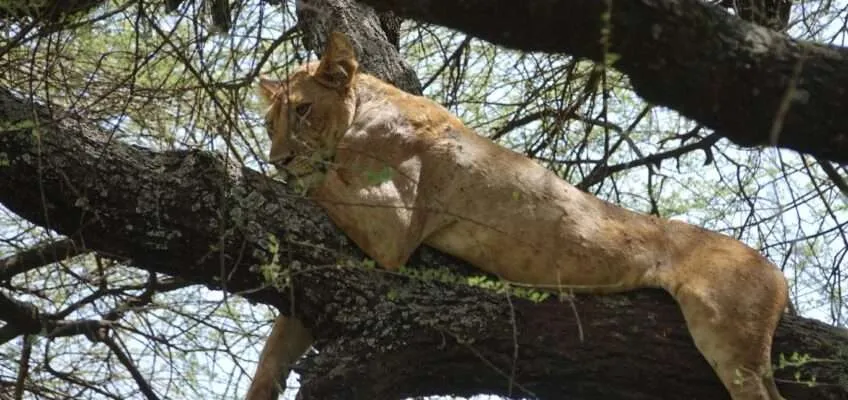 Our favorite things to do in Tanzania