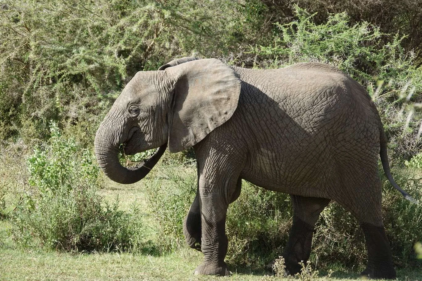 10-day Tanzania and Zanzibar itinerary - Lake Manyara National Park and Reserve