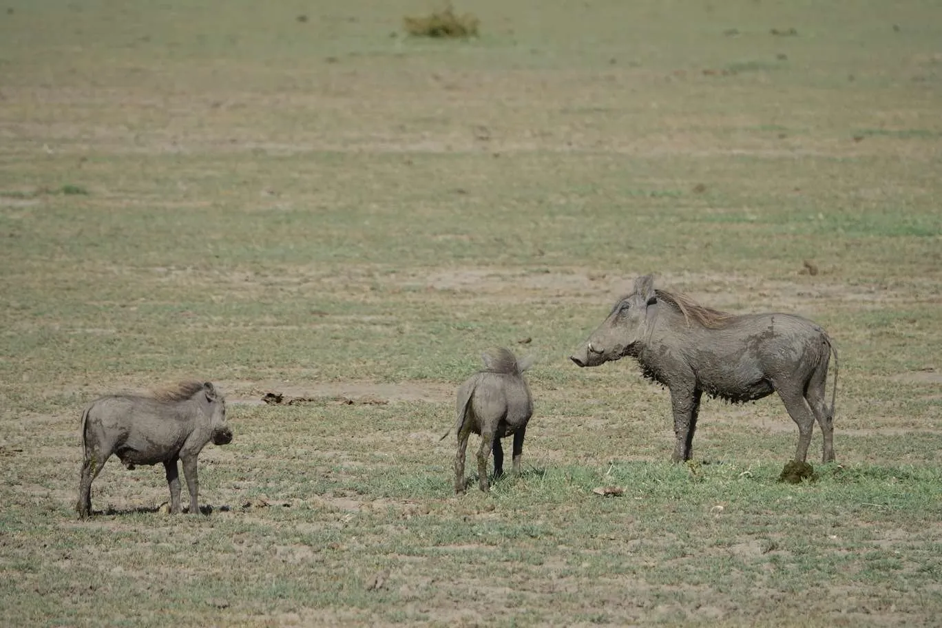 10-day Tanzania and Zanzibar itinerary - Lake Manyara National Park and Reserve