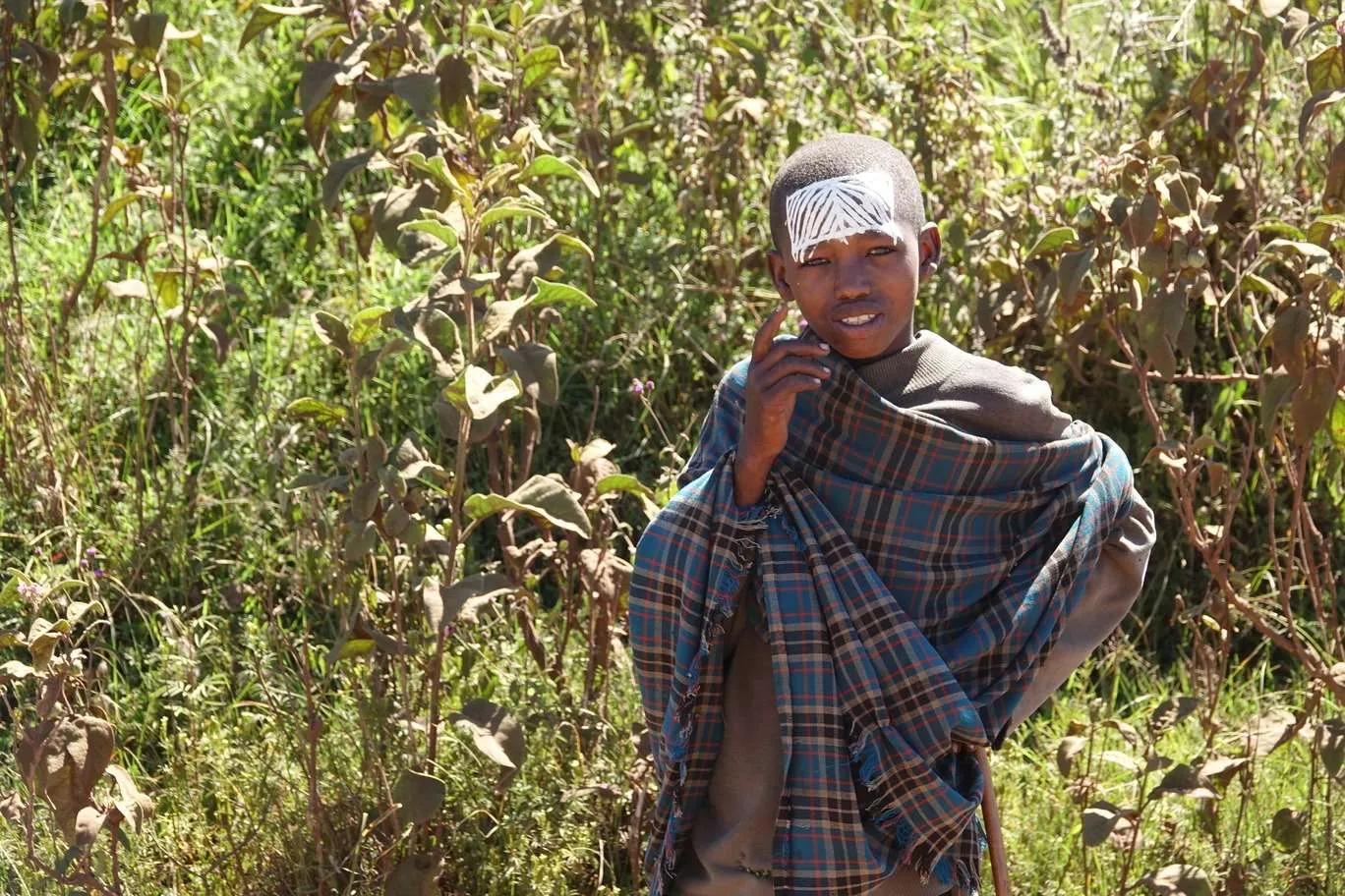 10-day Tanzania and Zanzibar itinerary - Ngorongoro Crater safari