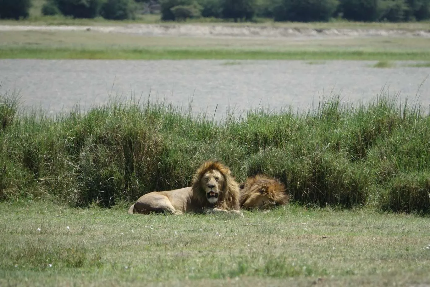 10-day Tanzania and Zanzibar itinerary - Ngorongoro Crater safari