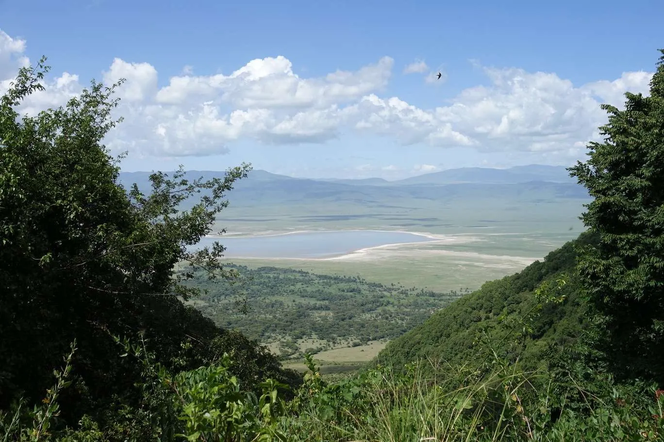 10-day Tanzania and Zanzibar itinerary - Ngorongoro Crater safari