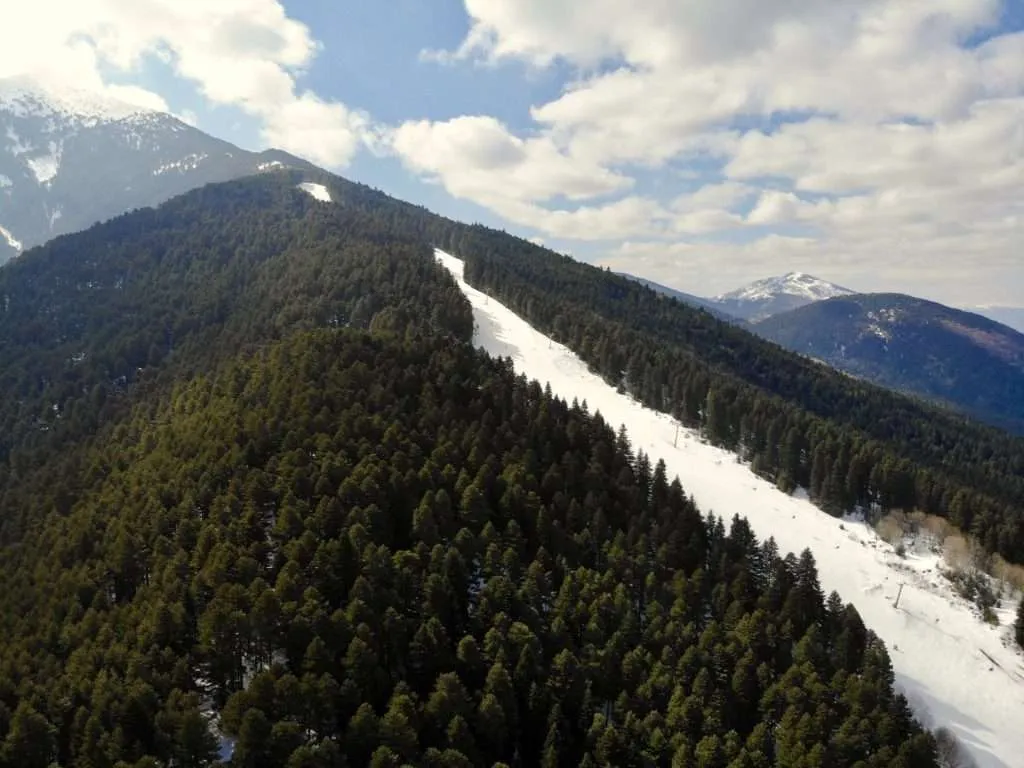Places to visit in North Macedonia - Pelister National Park