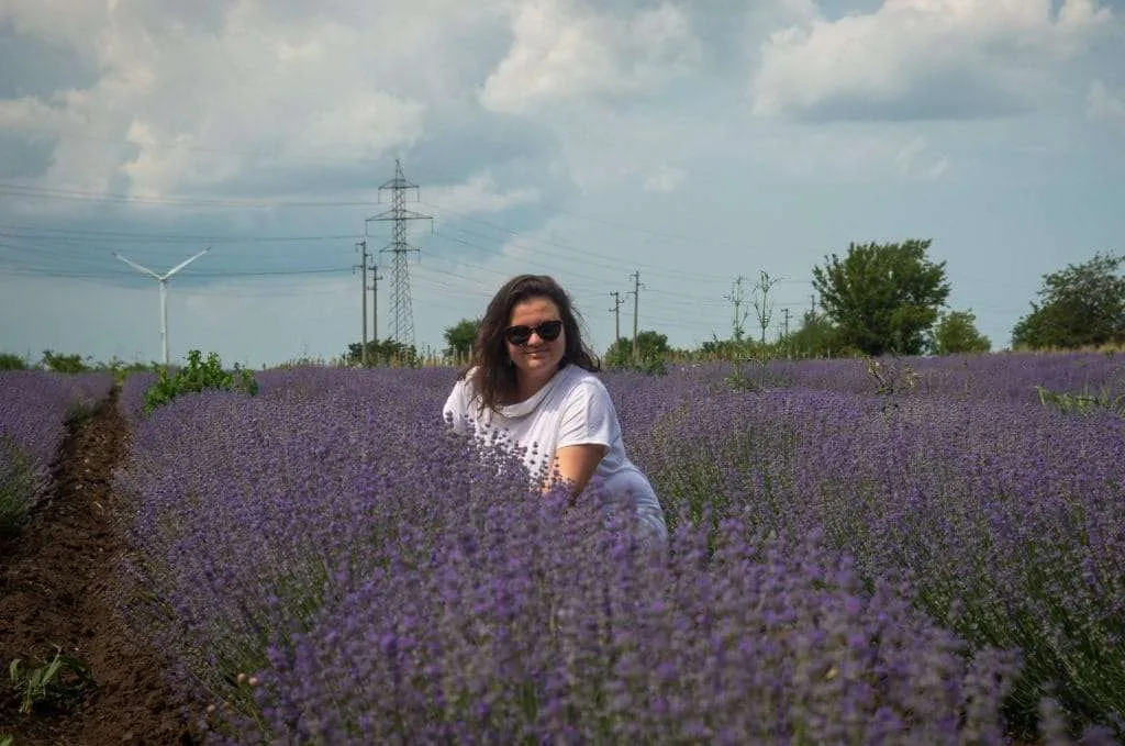 Lavender fields and wind turbines, Shabla, Bulgaria
